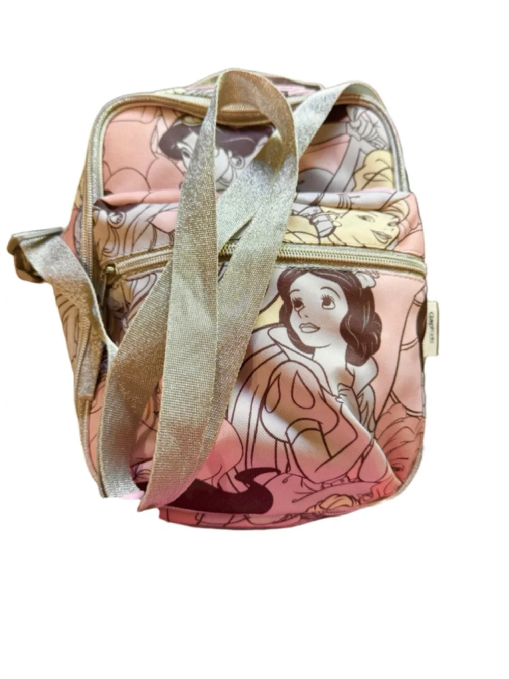 The GAP Kids Disney Princess insulated Lunch box/cooler with handle & strap